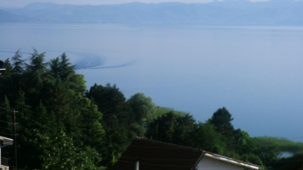 Villa Novak Ohrid Luaran gambar